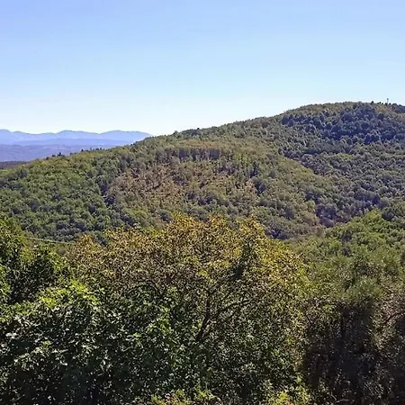 Casa de Férias Buenavista